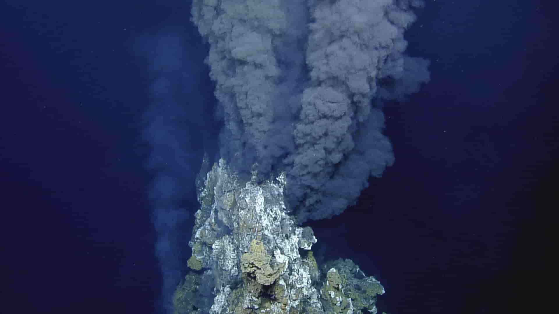 Life Beneath The Hydrothermal Vents