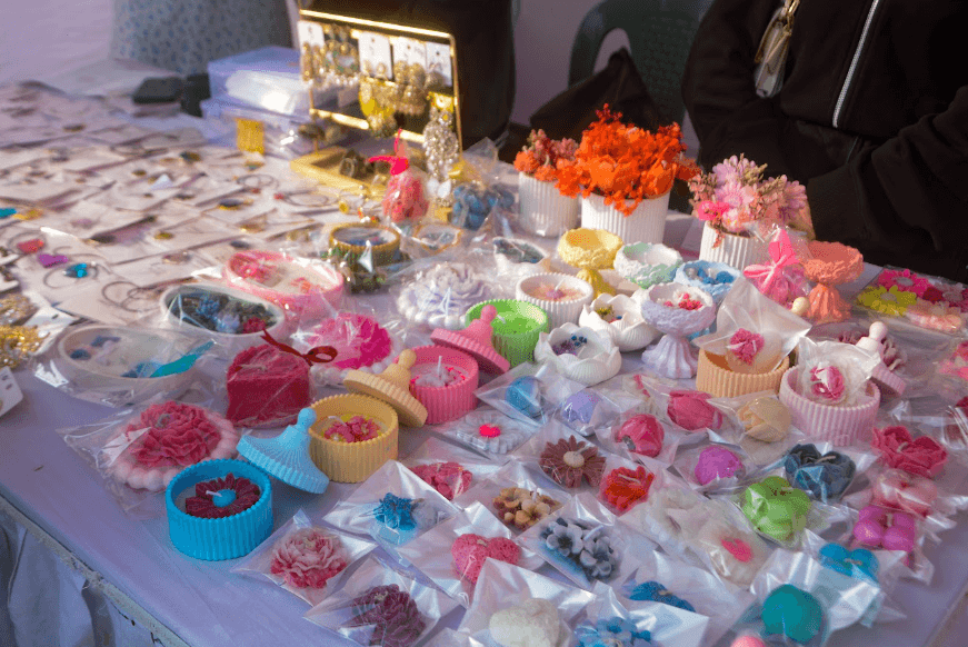 MSC STEM Fest 2025 — photo 3